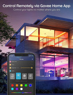 Govee Tira LED RGB Wi-Fi 2 rollos de 5 m H6110
