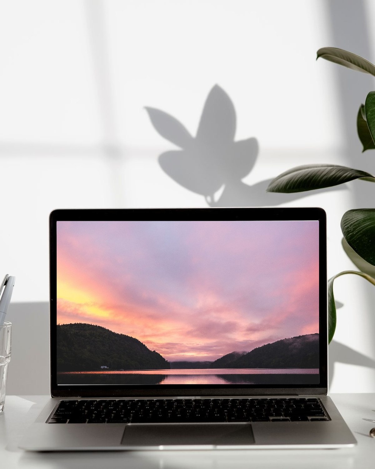 Laptop y PC