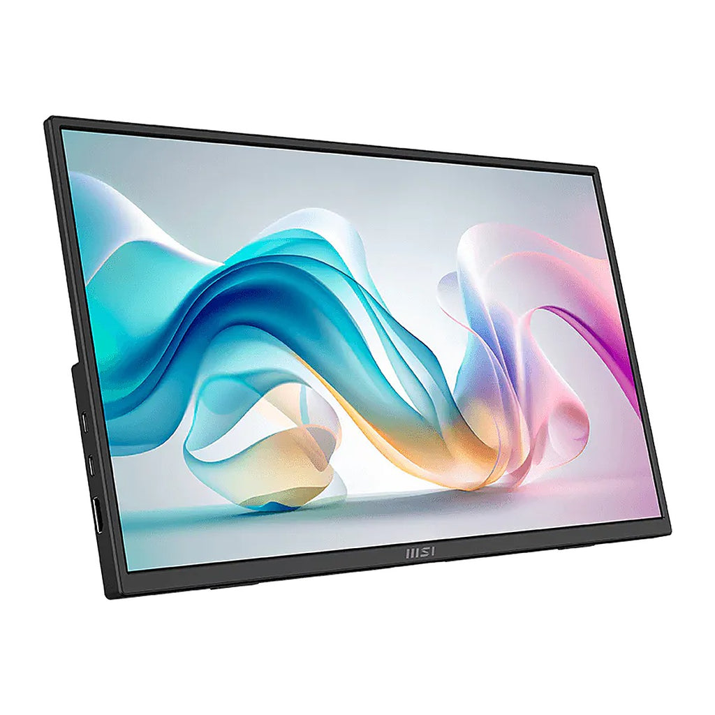 MSI Monitor Portátil PRO MP165 E6 15.6" FHD 60Hz IPS 9S6-3PE50M-004